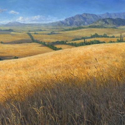 The Heartlands header image