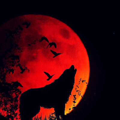 Griffes Rouges header image