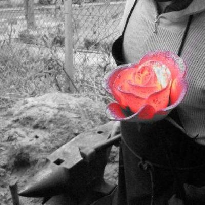 Fornax Rosae header image