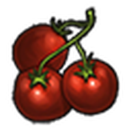 Tomatoes