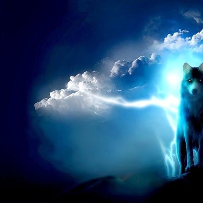 Crocs d'Argent header image