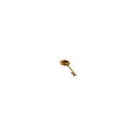 Golden Vault Key