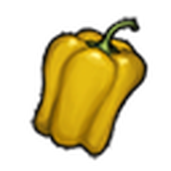 Yellow Pepper