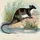 Mammal