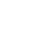Lucid