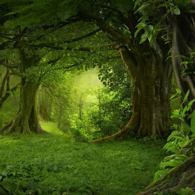 Le Grand Sablier header image