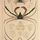 Arthropod
