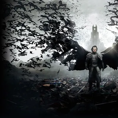 Animalisme header image