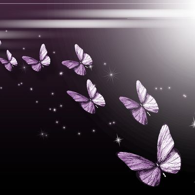 Kassandre header image