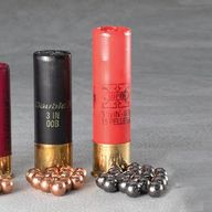 Buckshot