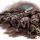 Swarm of Rats