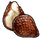 Snakefruit