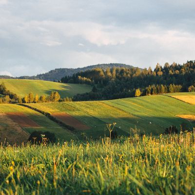 Westide header image