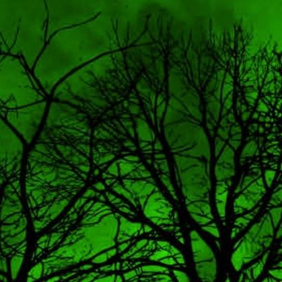 Scarred Moon header image