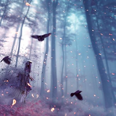 Guadalupe Velazquez header image