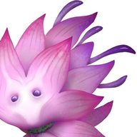 Mountain Summit Grass