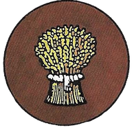 Irreproachable Order