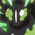 Zygarde