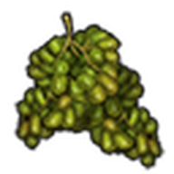 Green Grapes