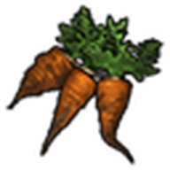 Carrots