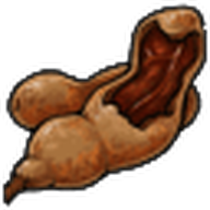 Tamarind