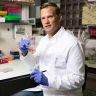 Vampire - 02 - Journal de Maximilian Von Bertinstern (entrée N°1)