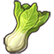 Bok Choy