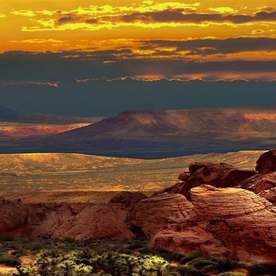 Jena Walkins "Calamité" header image