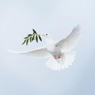 The Day of Peace