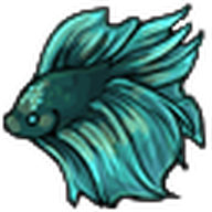 Cave Betta