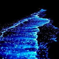 Festival das Marés Luminosas