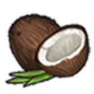 Coconut