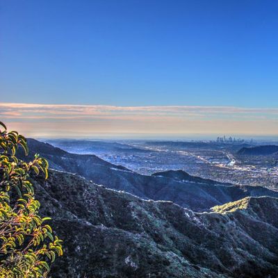 Tanière de la meute header image