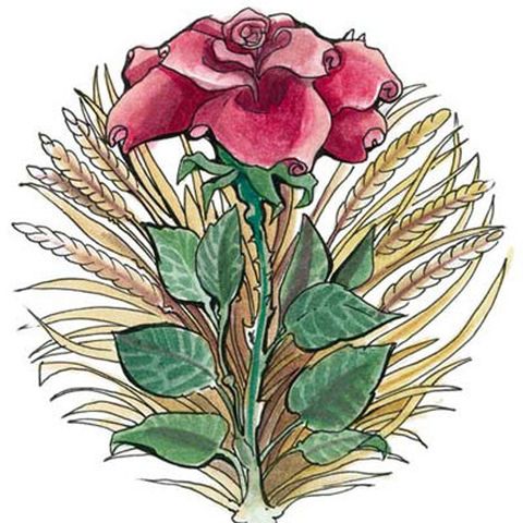 Chauntea, Die Erdmutter