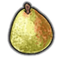 Comice Pear