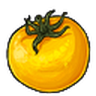 Yellow Tomato