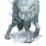 Winter Wolf