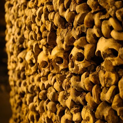 Lixiviat header image