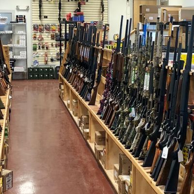 Logan Fischer header image