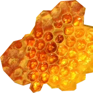 Honeycomb