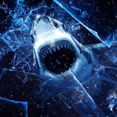 Same-Bito header image