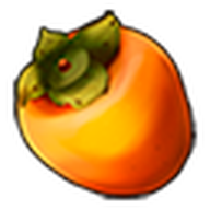 Persimmon