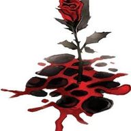 Milani, die ewig Blühende