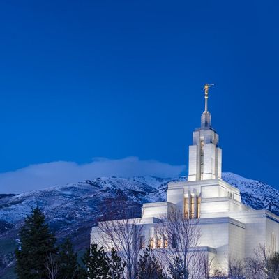 Musée du Dernier Jour header image