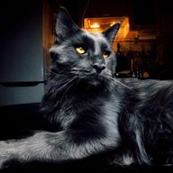 Мейн-кун Люцифер