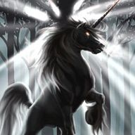 34. Witsch wir kommen