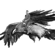 Louis Dashmore on Talon Blade