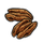Pecan