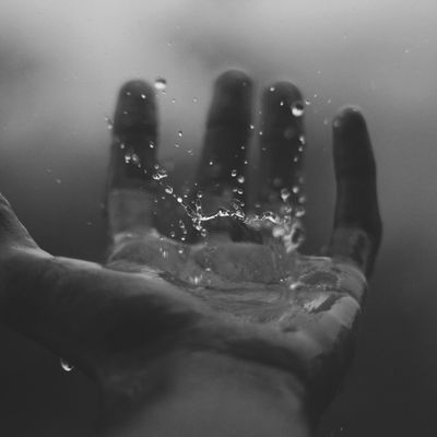 Melchior Bakare "Mains de Gaïa" header image