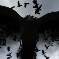 Malagor, le Grand Corbeau de Ténèbres des Savoirs Volés